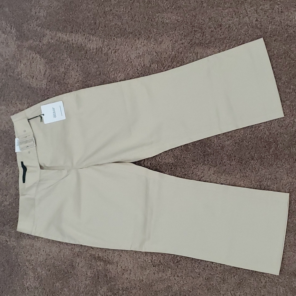 NWT Express cropped pants